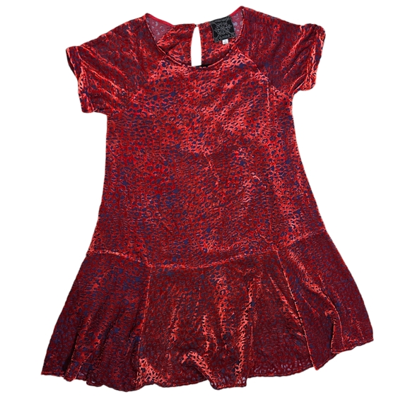 Johnny Was Jade Red Burnout Velvet Mini Dress Size XS Animal Print Silk Blend - Picture 9 of 16